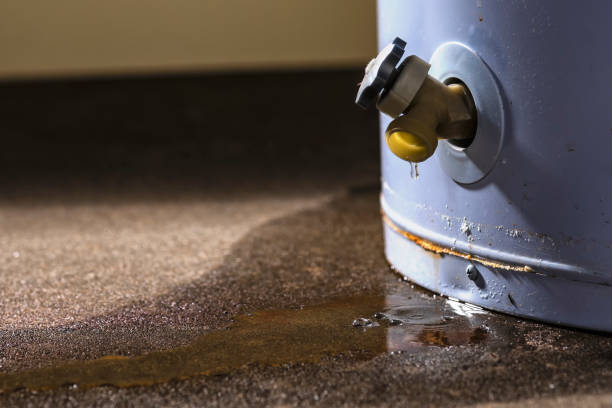 Best Water damage cleanup near me  in Shafter, CA