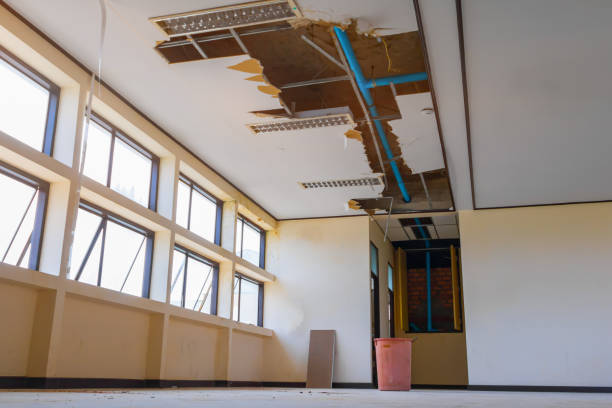 Best Water damage restoration insurance claims  in Shafter, CA
