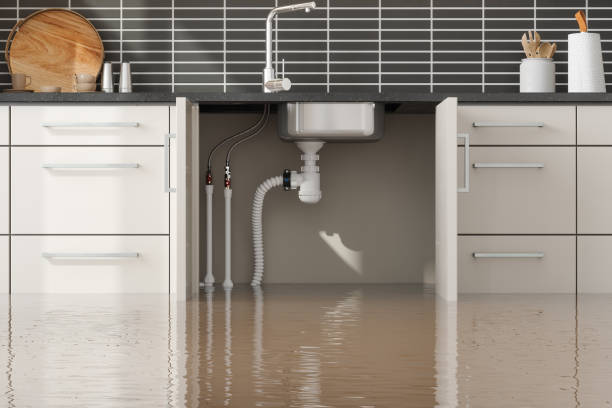 Best Flooded house restoration  in Shafter, CA