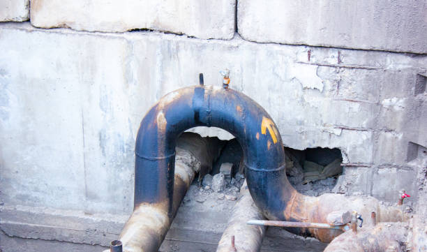Best Water damage mitigation services  in Shafter, CA
