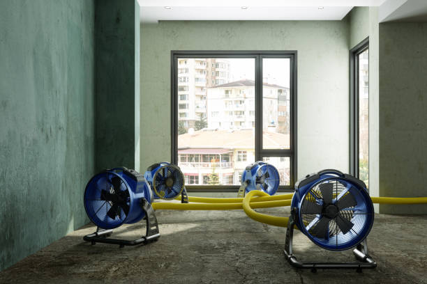 Best 24-hour water damage restoration  in Shafter, CA